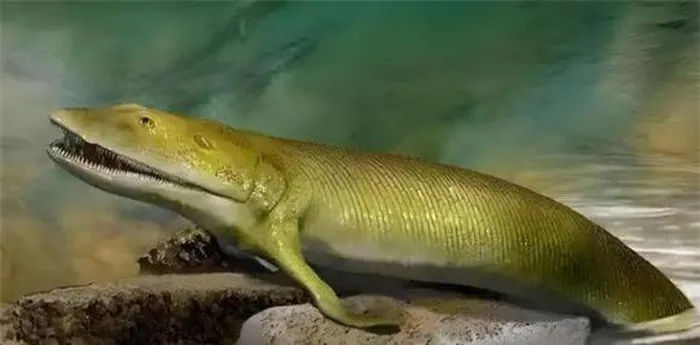 Sự sống khởi nguồn từ sinh vật đơn bào, dần tiến hóa qua kỷ Cambri với nhiều loài động vật, trong đó cá là loài có xương sống sớm nhất.(Ảnh: DNVN)