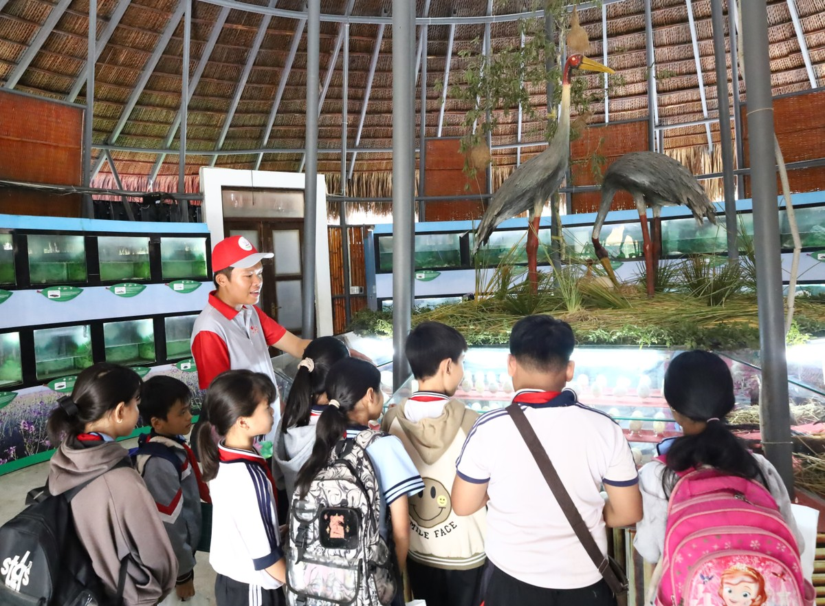 Đồng Tháp đã ký biên bản ghi nhớ với đối tác Thái Lan để nhập sếu về Tràm Chim chăm sóc, khôi phục sinh thái và chuyển đổi mô hình sản xuất nông nghiệp theo hướng hữu cơ. Họ cũng đầu tư chuồng trại và nhân sự để chăm sóc sếu.(Ảnh: Tiền phong)