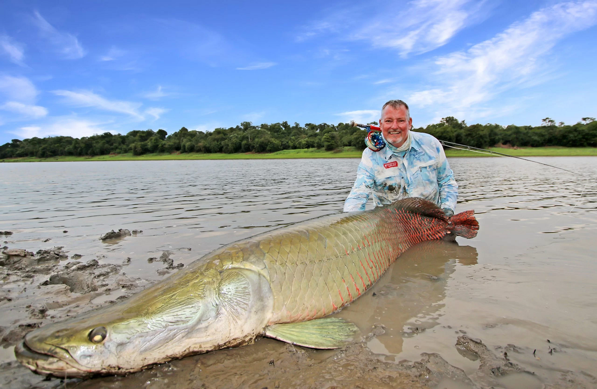 Vảy cá Arapaima rất cứng và linh hoạt, giúp chúng chống lại các cuộc tấn công của cá Piranha. Đặc điểm của vảy cá này đã thu hút sự quan tâm của các kỹ sư trong lĩnh vực sản xuất giáp và thép tổng hợp. (Ảnh: Fishing With Scotto)