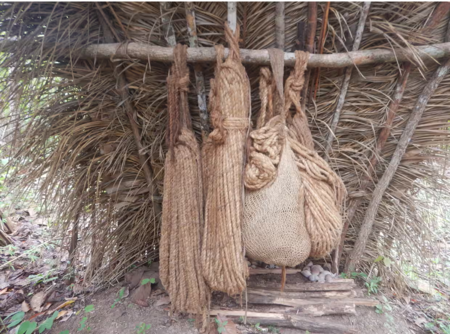 Bộ tộc Massaco là minh chứng cho khả năng sinh tồn của con người trước môi trường khắc nghiệt và áp lực từ thế giới bên ngoài.(Ảnh: The Guardian)