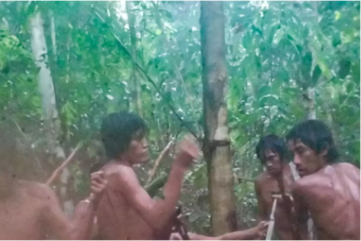 Họ không mặc quần áo, sử dụng cung dài 3 mét để săn bắn, và thường di chuyển làng theo mùa trong rừng.(Ảnh: Libertatea)