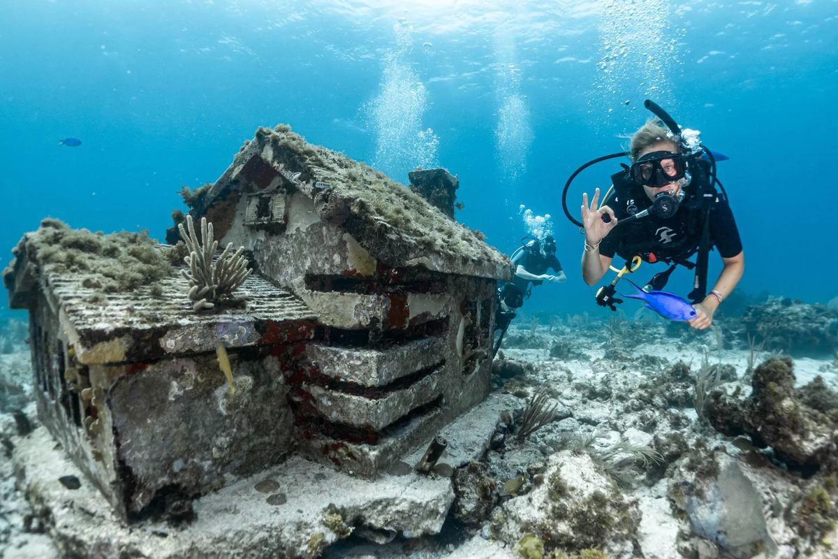 Du khách muốn tham quan bảo tàng phải mặc đồ lặn, đeo bình dưỡng khí hoặc dùng ống thở để lặn xuống độ sâu từ 4 đến 8 mét, nơi các kiệt tác đang ẩn mình giữa làn nước biển trong vắt. (Ảnh:PADI)