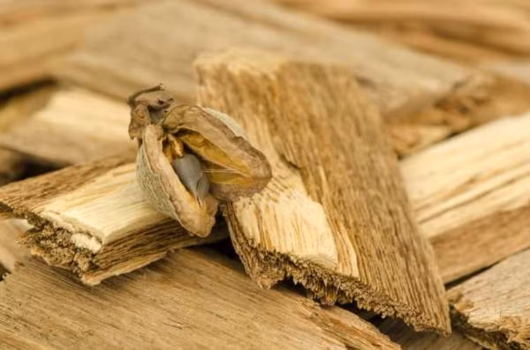 Trầm hương có giá trị cao không chỉ bởi độ hiếm mà còn bởi các công dụng vượt trội của nó. Trầm hương được sử dụng rộng rãi trong y học cổ truyền để tăng cường hệ miễn dịch, hỗ trợ tiêu hóa, điều trị bệnh tim mạch, và giảm căng thẳng. Tinh dầu trầm hương còn được sử dụng trong liệu pháp hương thơm, giúp thư giãn và tạo cảm giác dễ chịu.(Ảnh: The Perfumery)