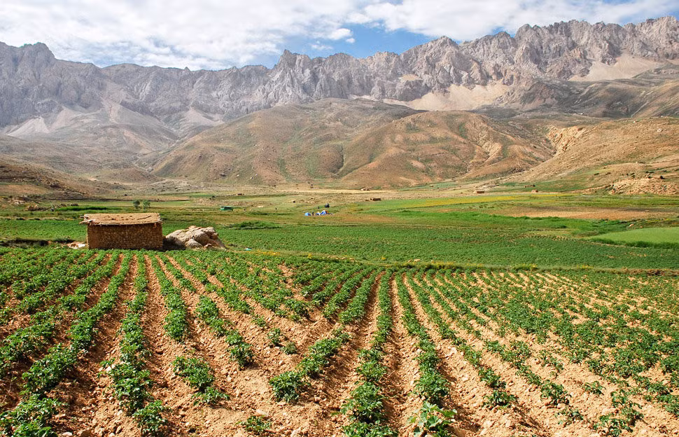 Sự đa dạng trong trồng trọt ở Golestine góp phần đưa tỉnh này là nơi có ngành kinh tế hàng đầu ở Iran. Ảnh Sputnik