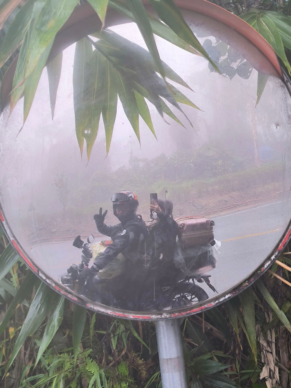 Nhiều du khách cũng đã chia sẻ khoảnh khắc đi du lịch Tam Đảo gần đây.