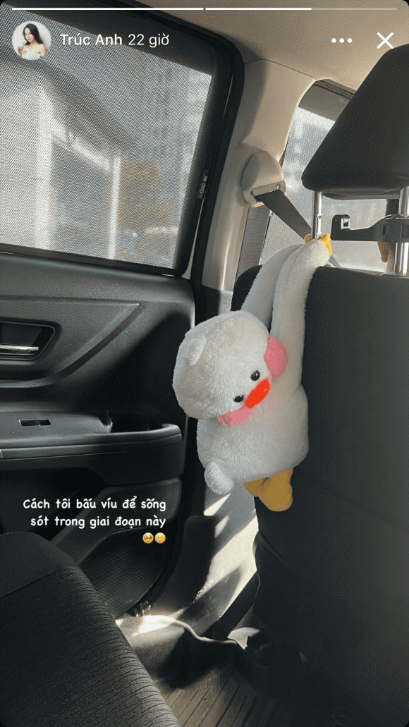Trước những lời lẽ tiêu cực nói về ngoại hình bản thân, Trúc Anh từng khiến nhiều người hâm mộ lo lắng khi đăng tải story cập nhật trạng thái của bản thân với dòng cảm xúc thể hiện sự "không ổn": "Cách tôi bấu víu để sống sót trong giai đoạn này".