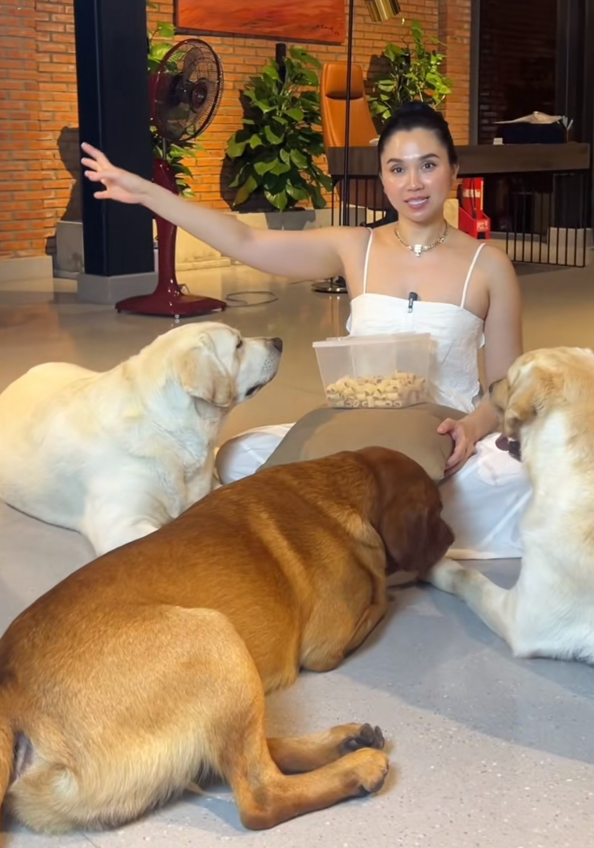 Trong khi những người khác khoe xe, khoe nhà rầm rộ, thì Linh Đặng lại "flex" dàn thú cưng đáng yêu của mình. Vị phú bà này vô cùng tâm huyết với 15 chú cún cưng của mình.