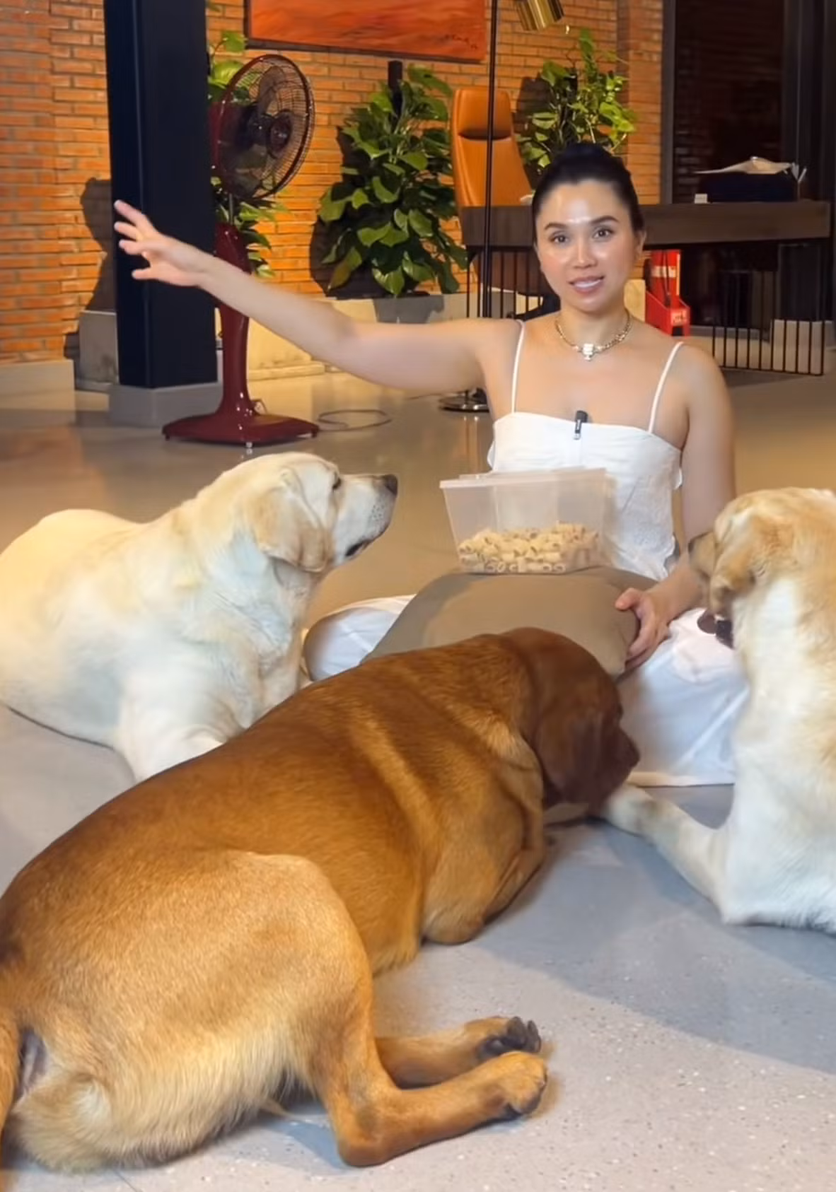 Trong khi những người khác khoe xe, khoe nhà rầm rộ, thì Linh Đặng lại "flex" dàn thú cưng đáng yêu của mình. Vị phú bà này vô cùng tâm huyết với 15 chú cún cưng của mình.