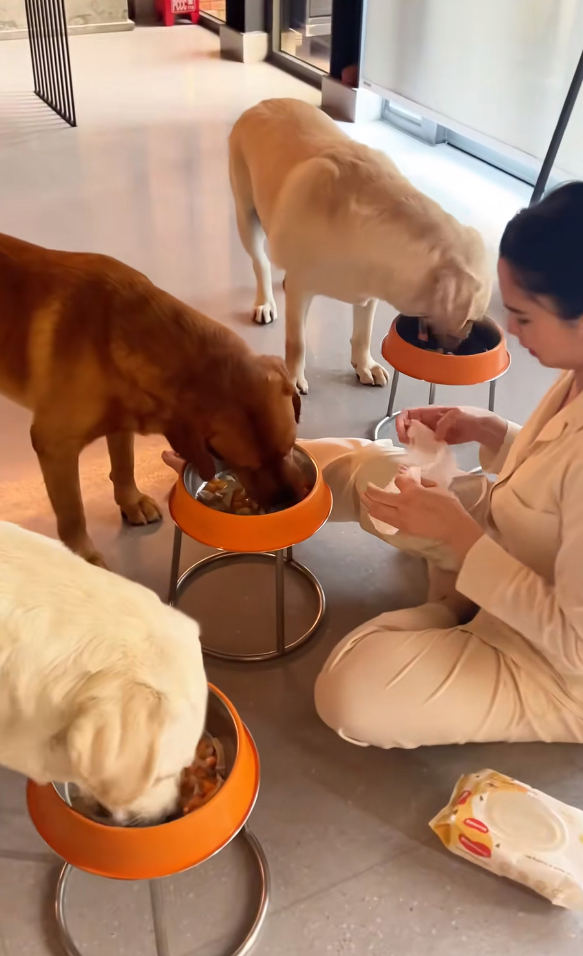 Đặc biệt một câu chuyện được nữ đại gia này chia sẻ khiến nhiều người bất ngờ và choàng ngợp. Vào thời điểm mới nuôi 2 chú chó Elon và Musk, trong một lần đưa chó đi dạo tại khu chung cư mà vợ chồng cô đang sinh sống, cô bị quản lý chung cư nhắc nhở dù 2 chú chó đều đeo rọ mõm đầy đủ và không đi vệ sinh linh tinh. Sau đó khi có cơ hội, cô nàng đã mua lại cả khu chung cư đó.