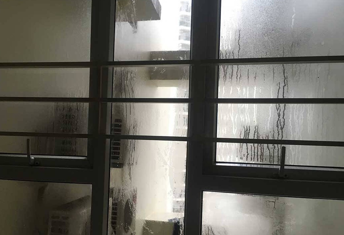 Cảm giác chung của nhiều người là khó chịu, mệt mỏi khi một mùa nồm đến.