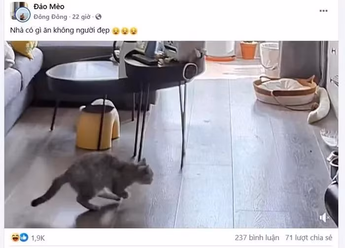 Thực chất, câu nói này mang ý nghĩa rất giản dị, đó là hỏi thăm người khác đã ăn cơm chưa.