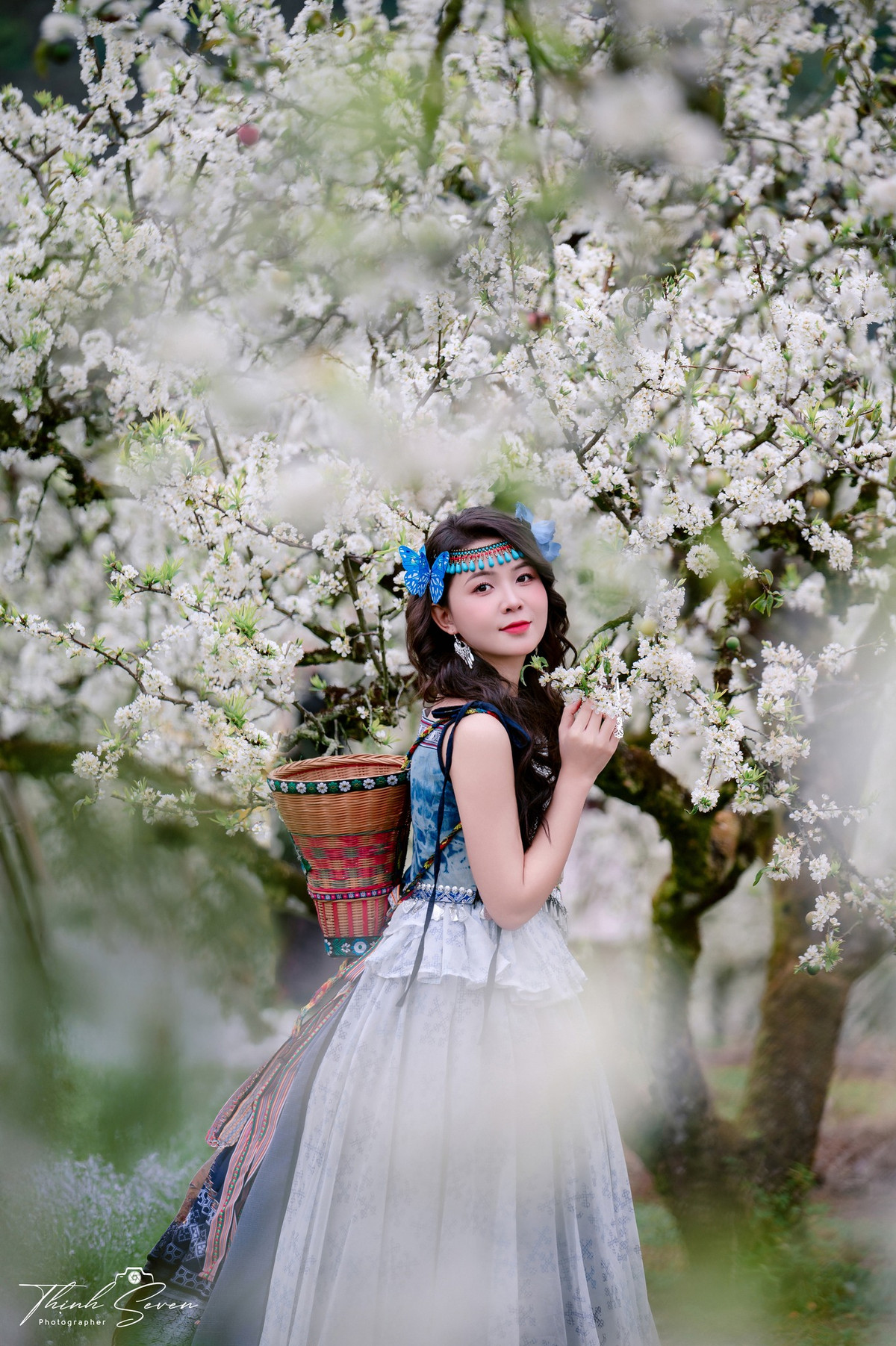 Mua hoa mận Mộc Châu năm nay thu hút lượng lớn khách du lịch. Du khách như được "lạc vào xứ sở thần tiên" bởi hoa mận phủ trắng núi đồi, thung lũng và ghi lại khoảnh khắc trong khung cảnh lãng mạn