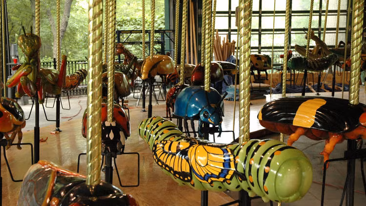 Vườn thú Bronx là một trong những điểm tham quan nổi tiếng nhất thành phố New York, Mỹ.