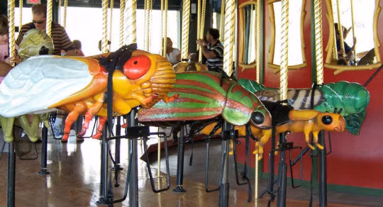 Đối với những người có nỗi sợ về côn trùng, vòng quay này là vùng cấm chỉ nhìn thôi cũng đã thấy rùng mình.