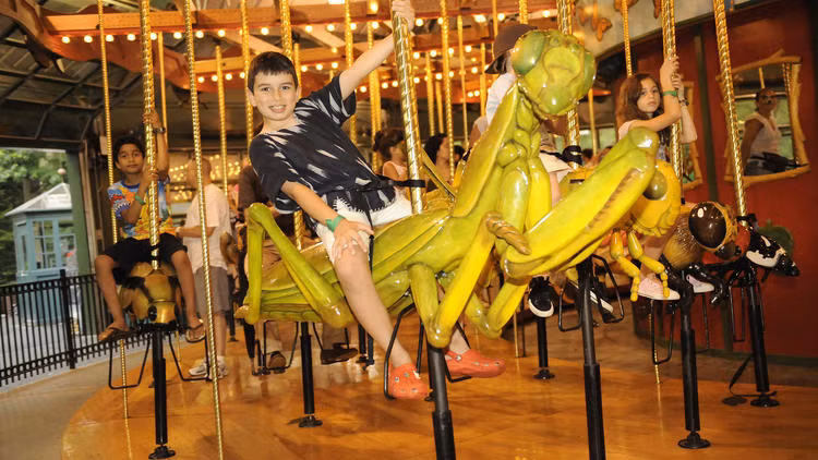 Tuy nhiên, nhiều em nhỏ khi được bố mẹ cho tham quan sở thú lại thấy vô cùng thích thú khi được trải nghiệm vòng quay với những con vật đặc biệt này.