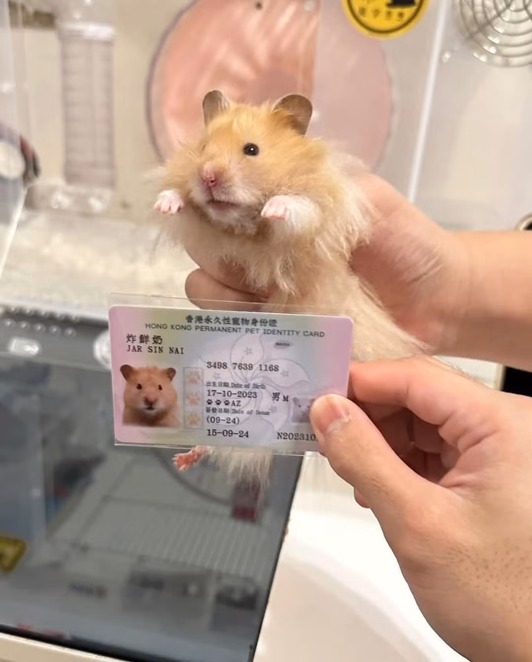 Việc cấp thẻ căn cước công dân cho thú cưng là một sáng kiến độc đáo của chính quyền Hồng Kông.