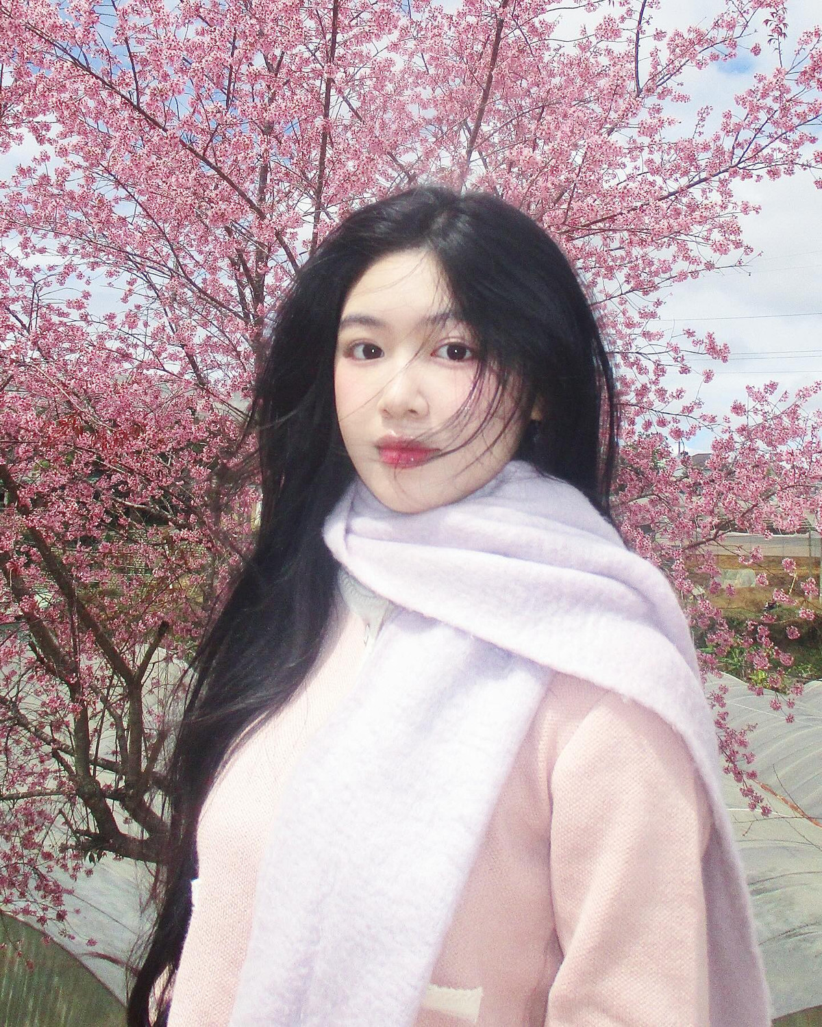 Dưới ánh nắng dịu nhẹ của mùa xuân, cô nàng xuất hiện trong trang phục nhẹ nhàng với áo len và khăn quàng cổ hồng pastel, càng tôn lên vẻ đẹp trong trẻo, thanh khiết.