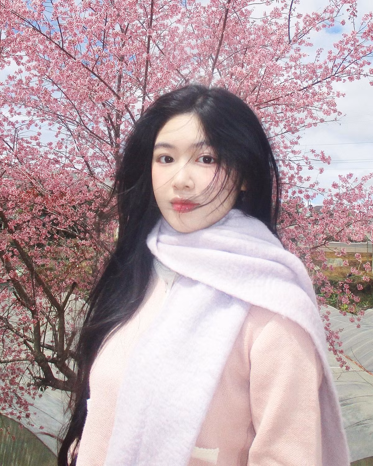 Dưới ánh nắng dịu nhẹ của mùa xuân, cô nàng xuất hiện trong trang phục nhẹ nhàng với áo len và khăn quàng cổ hồng pastel, càng tôn lên vẻ đẹp trong trẻo, thanh khiết.