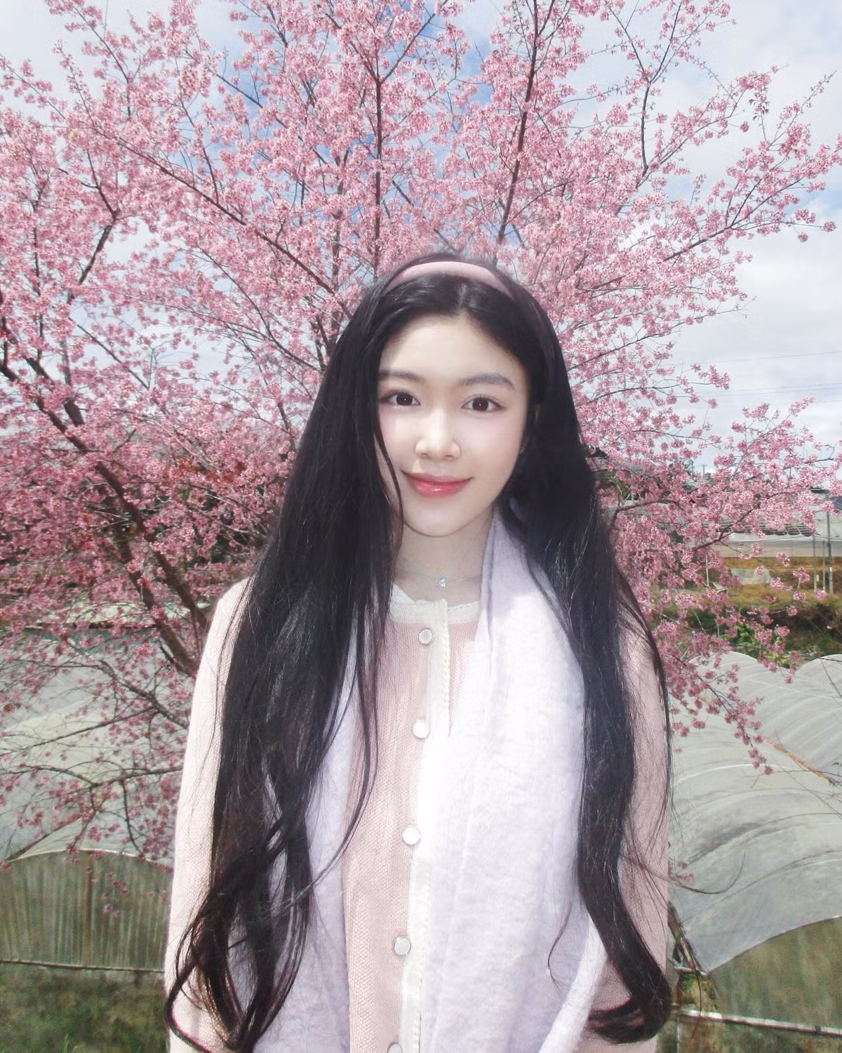 Những khoảnh khắc cô nhẹ nhàng tạo dáng bên cành hoa anh đào khoe sắc khiến nhiều người không khỏi trầm trồ.