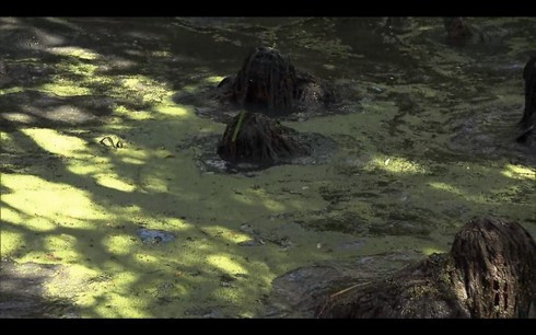 Trong vòng 3 tháng đầu của khóa huấn luyện, các học viên phải tập làm quen với bộ quần áo kì dị nhưng sẽ là vật ảnh hưởng rất lớn đến mạng sống của họ. Các học viên cũng được học cách tự làm ngụy trang sao cho phù hợp nhất với địa bàn hoạt động của họ. Bài tập khó khăn đầu tiên mà các xạ thủ phải vượt qua là tập… mũi (chịu đựng các loại mùi khó chịu) nhưng thực chất là một bài thử thách ý chí. Các xạ thủ sẽ bị ngâm mình trong một chiếc ao nước “bẩn đến mức huyền thoại” mà họ gọi là: Ao lợn (Pig Pond). Họ cũng phải học cách hòa mình vào cái ao này để đảm bảo mặt nước không bị xao động và lộ vị trí.