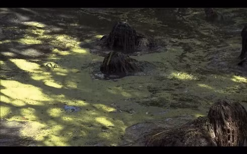 Trong vòng 3 tháng đầu của khóa huấn luyện, các học viên phải tập làm quen với bộ quần áo kì dị nhưng sẽ là vật ảnh hưởng rất lớn đến mạng sống của họ. Các học viên cũng được học cách tự làm ngụy trang sao cho phù hợp nhất với địa bàn hoạt động của họ. Bài tập khó khăn đầu tiên mà các xạ thủ phải vượt qua là tập… mũi (chịu đựng các loại mùi khó chịu) nhưng thực chất là một bài thử thách ý chí. Các xạ thủ sẽ bị ngâm mình trong một chiếc ao nước “bẩn đến mức huyền thoại” mà họ gọi là: Ao lợn (Pig Pond). Họ cũng phải học cách hòa mình vào cái ao này để đảm bảo mặt nước không bị xao động và lộ vị trí.