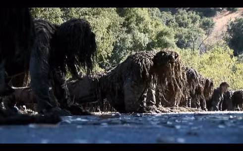 Ngoài việc là một xạ thủ bắn tỉa, họ là những chiến binh Thủy quân lục chiến nên trong mọi trận chiến họ luôn được lệnh xông lên trước tiên. Chính vì thế thể lực của những chiến binh này cũng phải đặc biệt tốt.