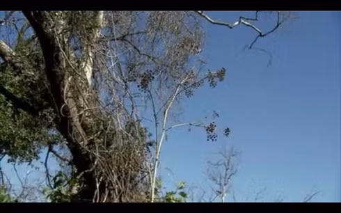 Sau những bài tập bắn đầu tiên, sẽ có những người bị loại và những người vượt qua bài thử thách này sẽ tiếp tục chuyển sang bài huấn luyện tiếp theo: Theo dõi mục tiêu.