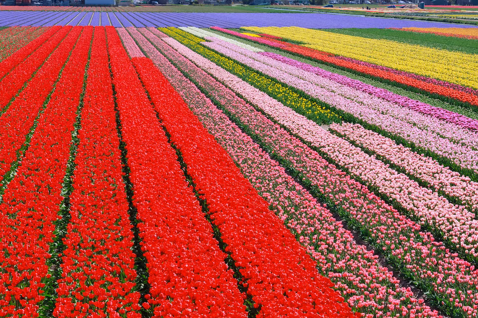 An tuong ve dep nhung khu vuon dep nhat the gioi-Hinh-3