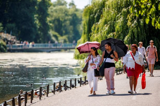Mọi người che ô khi đi dưới trời nắng trong Công viên St James ở Anh. Ảnh: Mirror.
