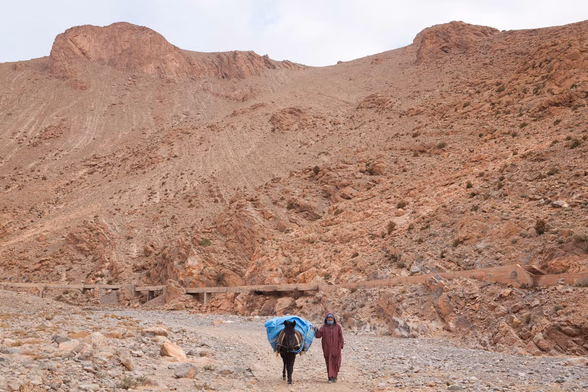 Sau buổi sáng cực nhọc, Said Amalik trở về nhà ở Ait-Daoud. Con lừa của ông có thể chở tới 200 kg muối.