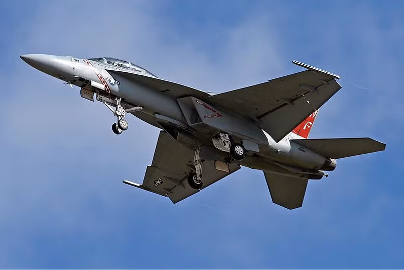 Ngoài ra, tiêm kích đa năng này còn có thể thực hiện các nhiệm vụ như tác chiến phòng không, hộ tống, hỗ trợ mặt đất, tiêu diệt hệ thống phòng không quân địch, tấn công trên biển, do thám và tiếp nhiên liệu trên không,... Ảnh: Wikimedia Commons.