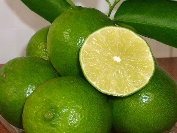 Với cách này, bạn có thể thực hiện mỗi tối sẽ có tác dụng khử mùi và giảm mồ hôi hiệu quả. (Nguồn Vietnamnet)