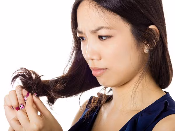 Bạn có thể làm mềm tóc khô, rối, tóc bị cháy cho uốn ép bằng việc ủ sốt mayonnaise. Cách làm này giúp dưỡng ẩm cho tóc, làm sợi tóc dai và khó gãy hơn rất nhiều.