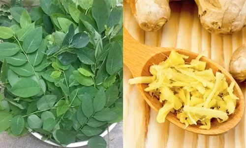 Rau ngót, gừng. Có thể giã rau ngót và trộn với nước ép gừng sau đó chắt nước để thoa lên da mặt, đều đặn hàng ngày cho đến khi vết nám mờ dần. Ảnh: Tritannhang.