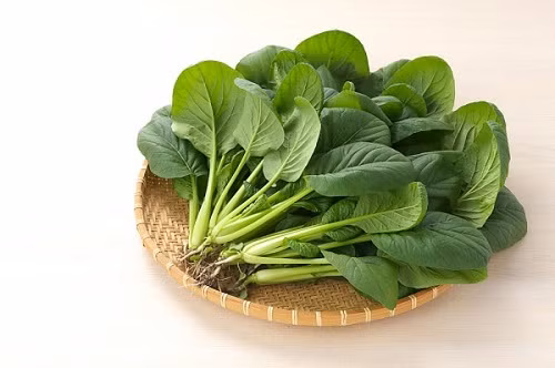 Rau chân vịt chứa nhiều sắt và nhiều vitamin nên đây cũng được xem là loại thực phẩm có khả năng tăng cơ bắp rất tốt. (Nguồn Thuocbomat)