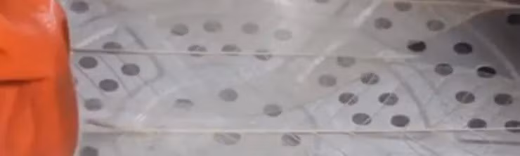 Xac la cay tro thanh “mo vang” giup nhieu nguoi kiem bon tien-Hinh-3