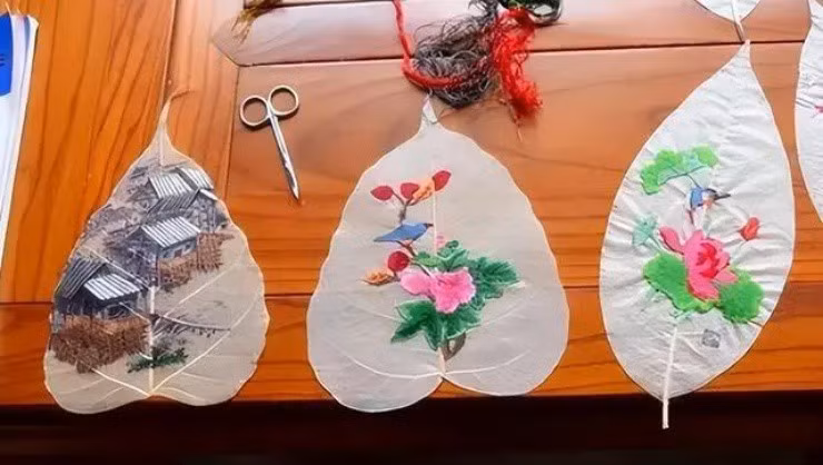 Xac la cay tro thanh “mo vang” giup nhieu nguoi kiem bon tien-Hinh-8