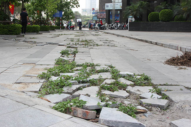 Tại nhiều địa điểm, hàng chục viên đá lát trên vỉa hè đã vỡ, gãy thành nhiều mảnh hoặc cập kênh. 