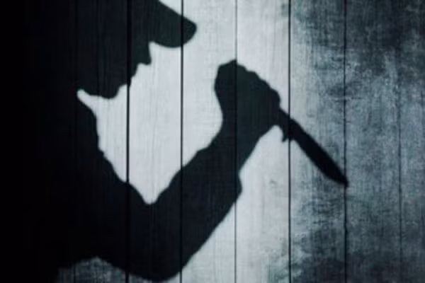 Trong lúc hung thủ đẩy nạn nhân vào phòng tắm giặt để thực hiện mưu tính hiếp dâm, thì một trong hai đứa con của người phụ nữ cựa mình khóc nhè. "Bóng ma" bí ẩn đưa tay lấy con dao bầu trên gian bếp ở kế bên phòng tắm rồi ra lệnh cho nạn nhân bước đến bên giường bế đứa trẻ lên để ru ngủ nhưng không được kêu la.(Ảnh minh họa)