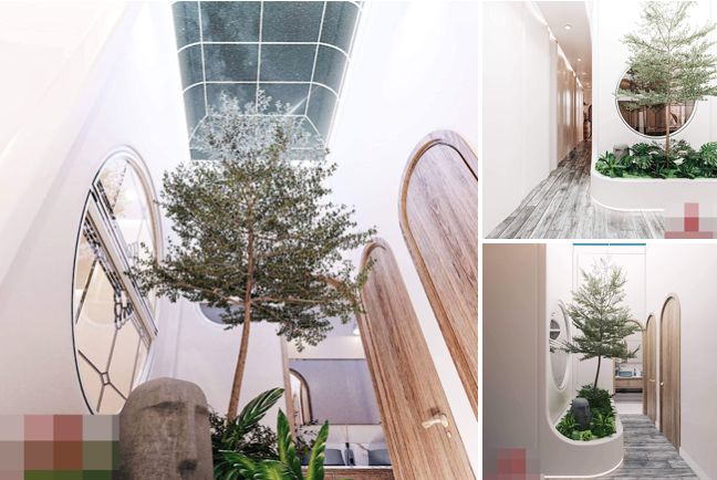 Nhà cấp 4 mái vòm bằng kính chịu nhiệt, cả năm không lo nóng bức - Hình 2 Nha cap 4 mai vom bang kinh chiu nhiet, ca nam khong lo nong buc-Hinh-2