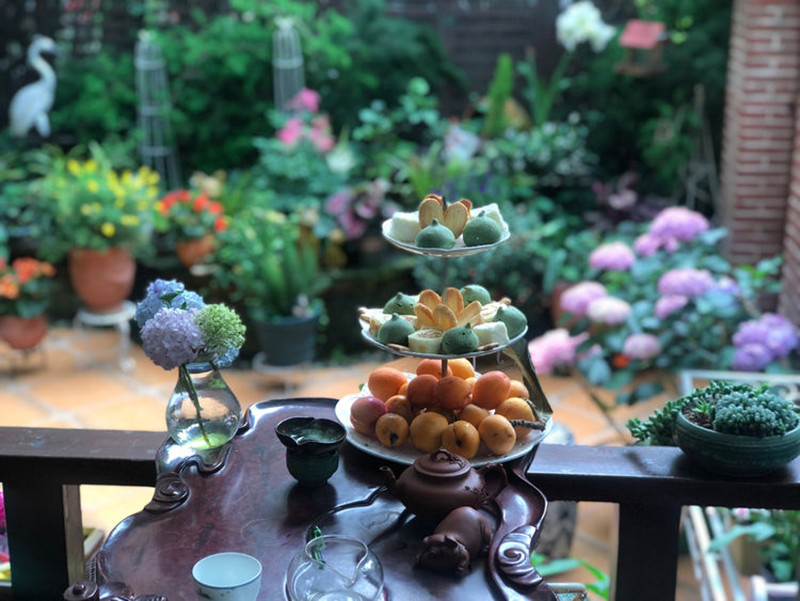 Sau hai năm nghiên cứu và chăm sóc, những bụi hoa cẩm tú cầu bên trong vườn ngày càng tươi tốt. Chị Ngô thực sự bị vẻ đẹp nhẹ nhàng, thơ mộng của loài hoa cẩm tú cầu chinh phục.