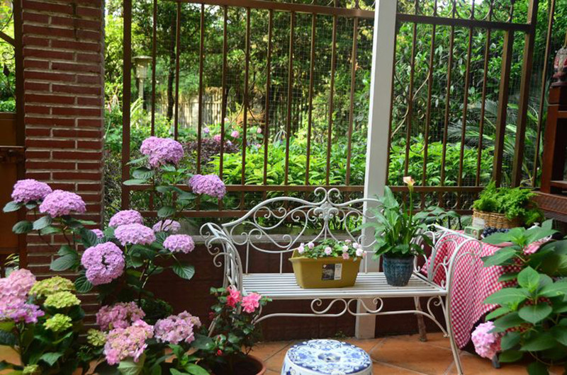 Vì muốn khu vườn nhà luôn tràn đầy sức sống, chị Ngô đã dành thời gian ra lựa chọn nhiều loài hoa để chăm sóc bên trong khu vườn.