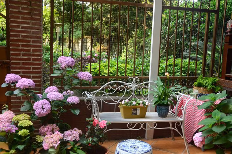 Vì muốn khu vườn nhà luôn tràn đầy sức sống, chị Ngô đã dành thời gian ra lựa chọn nhiều loài hoa để chăm sóc bên trong khu vườn.