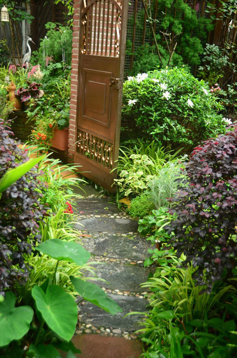 Vườn trong ngôi nhà 8 năm tuổi khiến ai cũng phải xuýt xoa - Hình 2 Vuon trong ngoi nha 8 nam tuoi khien ai cung phai xuyt xoa-Hinh-2