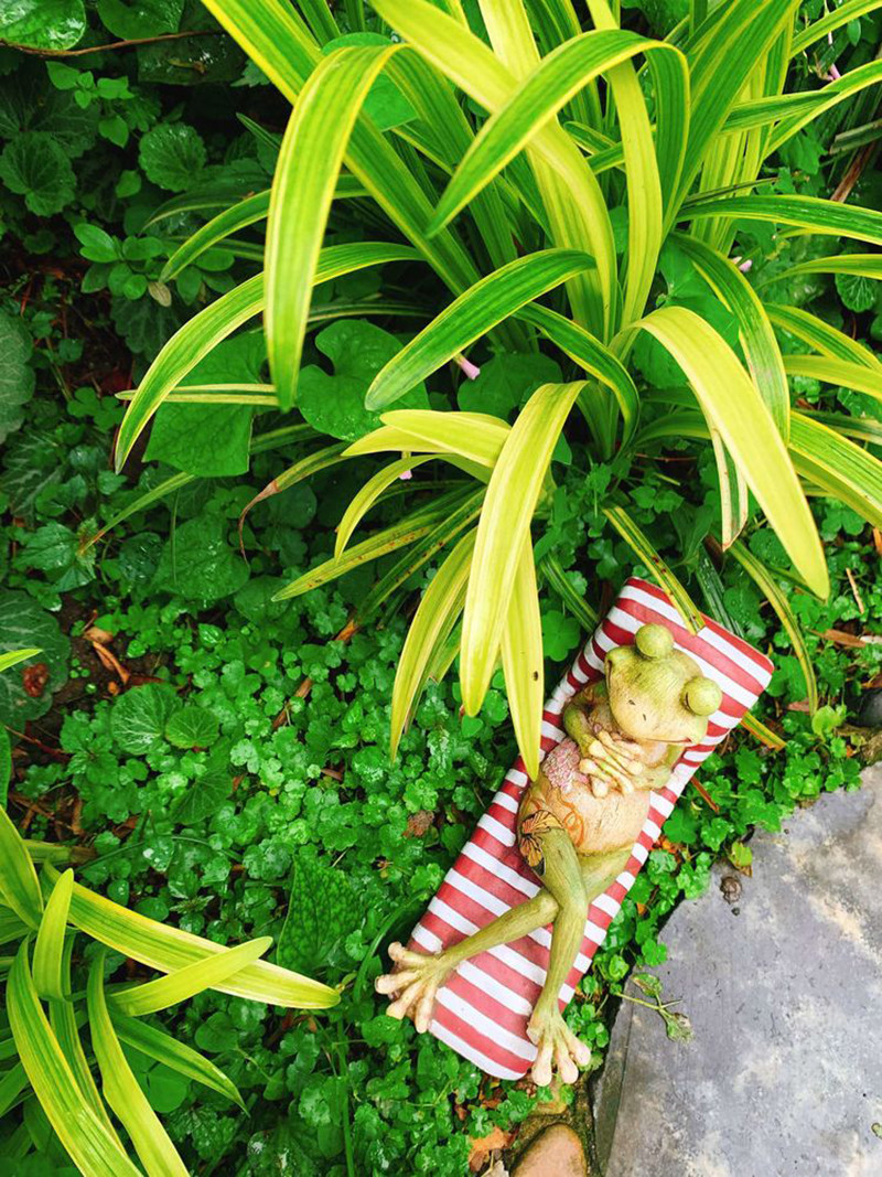 Cuộc sống đô thị đầy lo toan, mệt mỏi, làm vườn là cách tốt nhất để chữa lành tâm trí của con người.