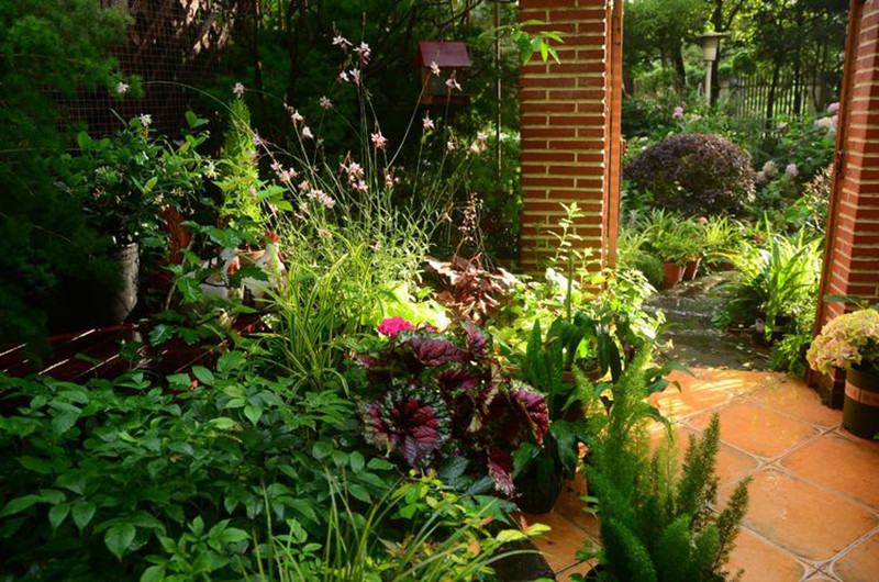 Sau nhiều năm sống với khu vườn này, gia đình chị Ngô nhận thấy được những ưu và nhược điểm của nó.