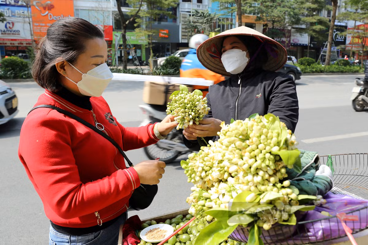 Mua hoa buoi ngat huong o Ha Noi-Hinh-10