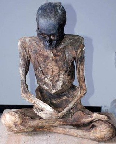 Các chuyên gia tuyên bố, vị cao tăng này đã viên tịch, khi còn sống suốt ngày ở Phật đường niệm Phật, tiếp thu năng lượng của Phật, ít tiếp xúc với những ô nhiễm của thế giới bên ngoài nên khi qua đời liền hình thành trạng thái tồn tại đặc biệt, không bị vi khuẩn phân giải. Đây phải chăng là sự kì diệu của năng lượng Phật? Khoa học hiện đại đã nghiên cứu ra điều gì từ hiện tượng này? Có nhiều ý kiến phản bác, và cho rằng đây chỉ là một hình thức ướp xác. Các vị cao tăng thường sử dụng hình thức này để lưu giữ thân thể, tiến về cõi Phật, coi như là đắc đạo.