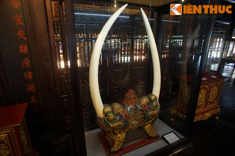 Cặp ngà được cắm vào giá gỗ để sử dụng làm vật trang trí trong cung điện của các vua nhà Nguyễn.