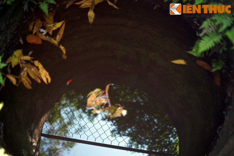 Do tiếng lành đồn xa, từ thời chúa Nguyễn Phúc Thuần, người gánh nước từ giếng càng ngày càng nhiều, không chỉ ở khu vực lân cận mà người dân ở tận Thủy Phương, Thủy Biều cũng đến.